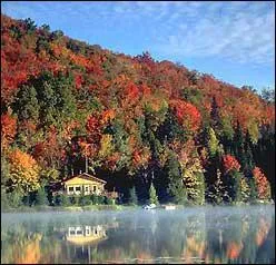 Qui interprte 'A la faveur de l'automne' ?