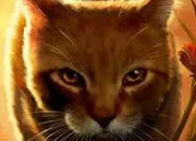 Quiz Connais-tu bien toile de Feu ?