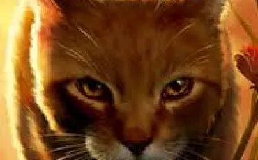 Quiz Littrature, posie