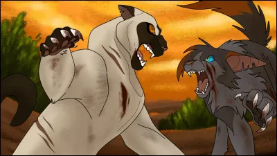 Attends, mais qui est le mentor de Pelage de Silex ?