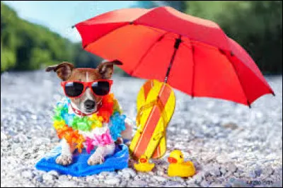 En 2004, quel rappeur a chanté avec Calogero la chanson intitulée ''Face à la mer'' ?