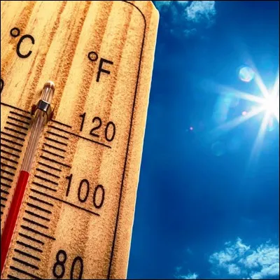 Quelle famille de plantes a la caractéristique dêtre composée presque exclusivement de plantes xérophytes ?