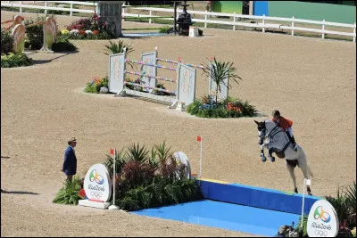 Quelles sont les disciplines olympiques ?