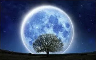 Quelle ambiance te fait rêver ?