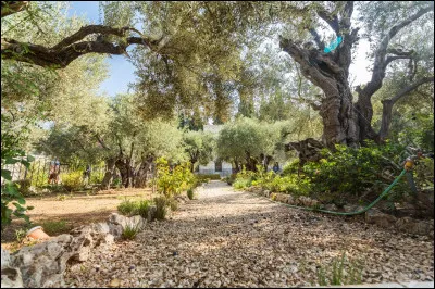 Quelle est la toile de fond historique du premier tome du "Secret du Royaume" ?