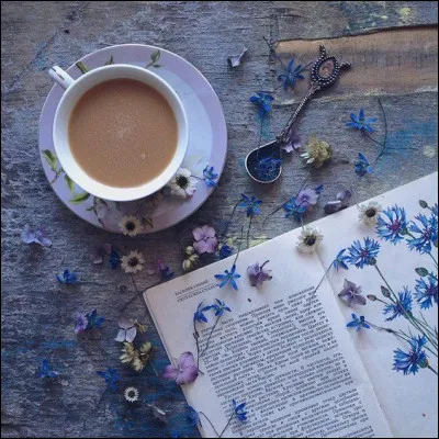 On continue avec une uvre de la littérature évoquant l'absurde. Quel est ce roman d'Albert Camus ?