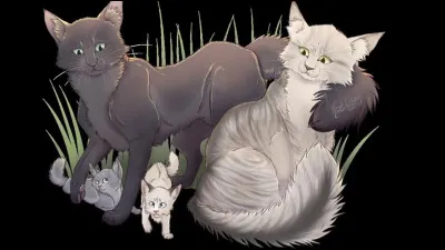 Tu es né ! Quel est ton nom de chaton ?