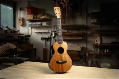 Ukulélé : Combien de cordes cet instrument de musique possède-t-il ?