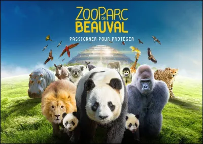 Environ combien d'animaux sont présents au ZooParc de Beauval ?