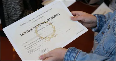 Quel est le pourcentage de réussite du diplôme national du brevet en 2004 ?