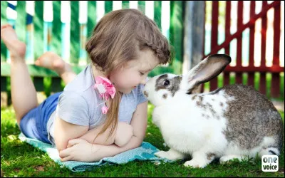 Que penses-tu des humains, en tant que lapin ?