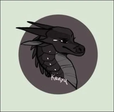 Quel(s) pouvoir(s) voudrais-tu avoir ?