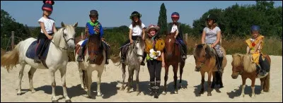 Tous les clubs proposent des sorties en concours :