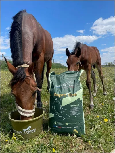 Où peuvent êtres affichées les rations de granulés ?