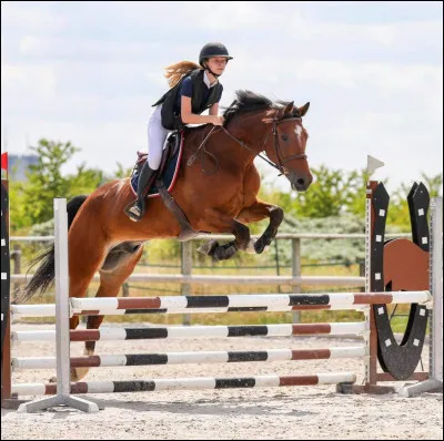 Comment s'appellent les supports qui permettent de varier la hauteur des barres d'obstacles ?