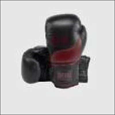 Le groupe "Survivor" fait des siennes avec la chanson "Eye of the tiger" dans ce film de 1982 :