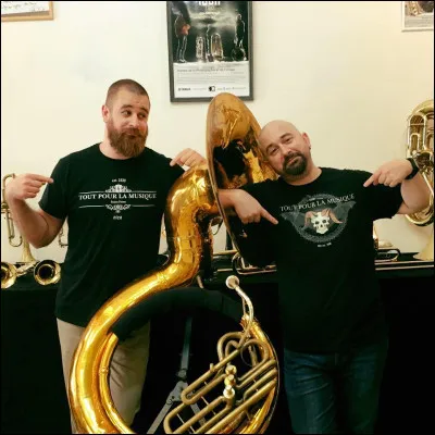 "Tout pour la musique" est le titre d'une chanson interprétée par ...