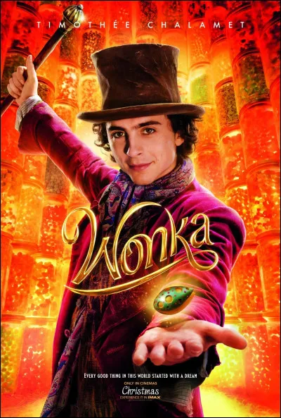 Aimes-tu le film ''Wonka'' ?