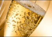 Quiz Tout sur la bulle