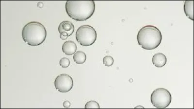 Qu'est-ce qu'un niveau à bulle ?