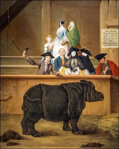 Qui a peint "Le rhinocéros" en 1751 ?