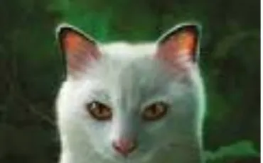 Quiz Littrature, posie