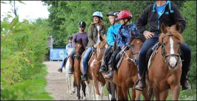 Quelles races sont souvent en centre équestre ?