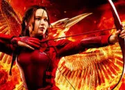 Quiz Hunger Games, livre 1