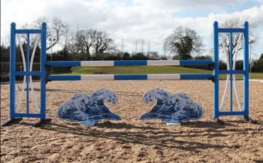Quiz Equitation