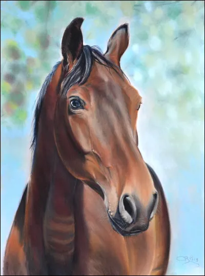 Quels chevaux sont des l&eacute;gendes du saut d'obstacles ?