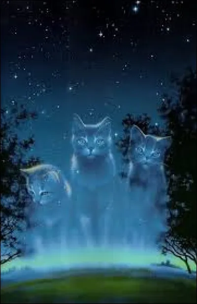 Mais bon... tu dois veiller toute la nuit ! Que fais-tu ?