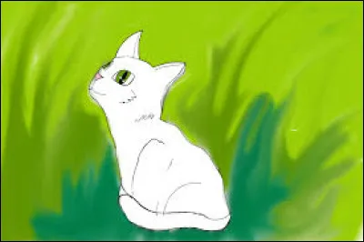 Oh ! Tu as eu un apprenti ! Il s'appelle Nuage de Cristal ; que veux-tu lui enseigner en premier ?