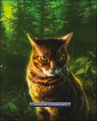 Tu décides d'aller chez les Anciens et ils te disent qu'ils n'ont pas besoin d'aide, mais tu as apporté plusieurs mousses imbibées de bile de souris pour rien ? ! Comment réagis-tu ? !