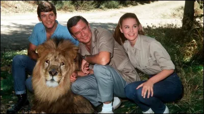 Quel est le nom du lion qui louche dans la série des années 60 "Daktari" ?