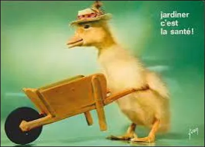 Quel héros d'une série française des années 60 a été incarné par plus de 50 canetons ?