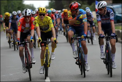 Grischa Niermann est le directeur sportif de quelle &eacute;quipe de cyclisme ?
