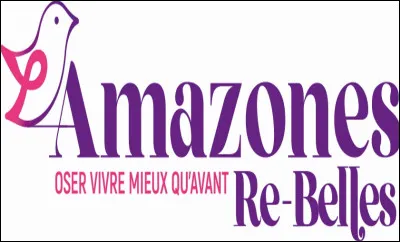 L'association ''Amazones Re-Belles'' accompagne les femmes touchées par quel cancer ?