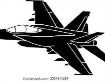 Quel est cet avion de chasse ?