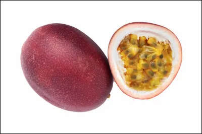 Quelle est ta passion ?