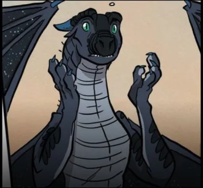 Quels sont les défauts de Comète ?