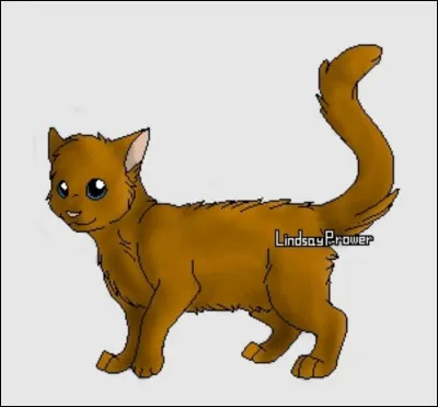 Qui est sa chatonne morte pendant son apprentissage ?