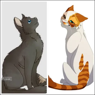 Qui sont les surs de Poil de Fougère ?