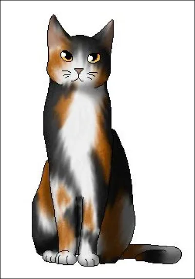 Qui est sa compagne ?