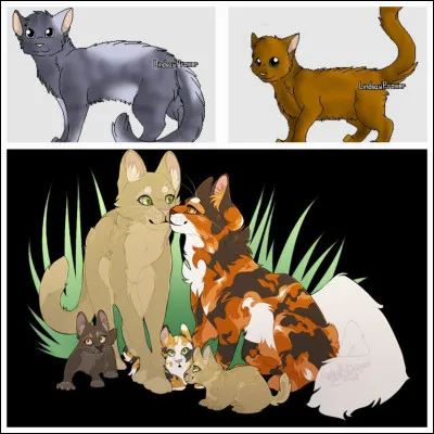 Combien y a-t-il de mâles et de femelles ?