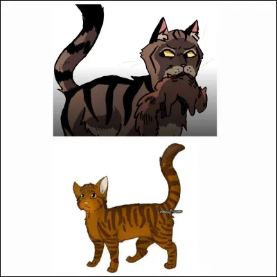 Qui a le plus de chatons entre Poil de Fougère et Pelage de Poussière ?