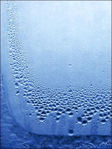 Quel est l'tat de la bue ?