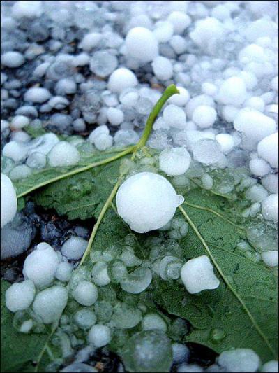 Quel est l'tat de la grle ?