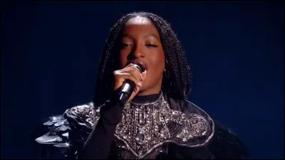 Malheureusement, malgré son talent et son charisme, Ebony s'est vue confrontée à de nombreuses attaques en ligne depuis l'émission dans laquelle est participait. Lesquelles ?