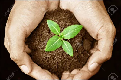 À partir de quoi Dieu créa-t-il Adam ?