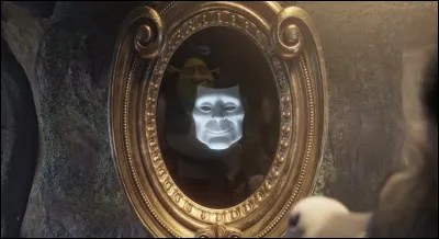 Si tu avais un miroir magique tu aimerais qu'il te montre :